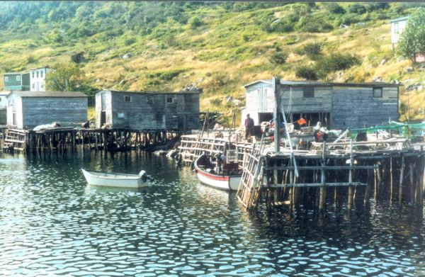 624: Red Island. (circa 1994) [courtesy of Pius Mulrooney]